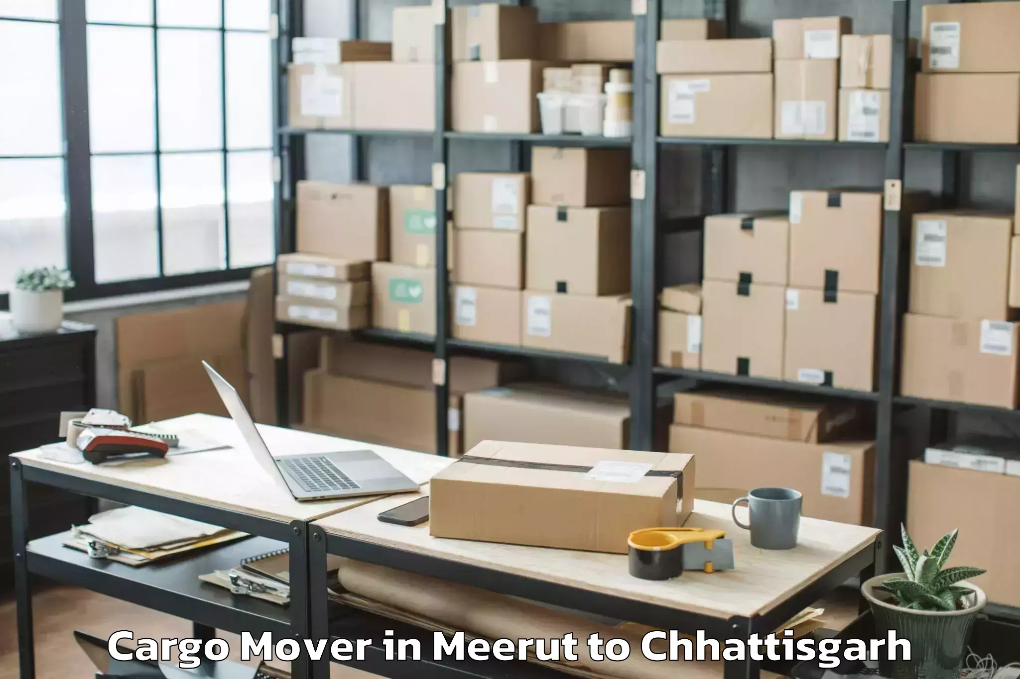 Leading Meerut to Nit Raipur Cargo Mover Provider